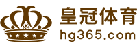 Logo 九游体育APP下载